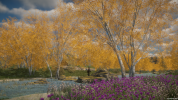 Meadowlands - riverland and autumn birchtrees.png